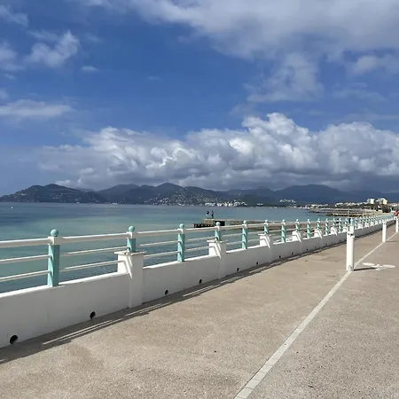 Vue Et Pisicne Daire