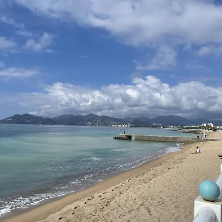 Vue Et Pisicne Daire *